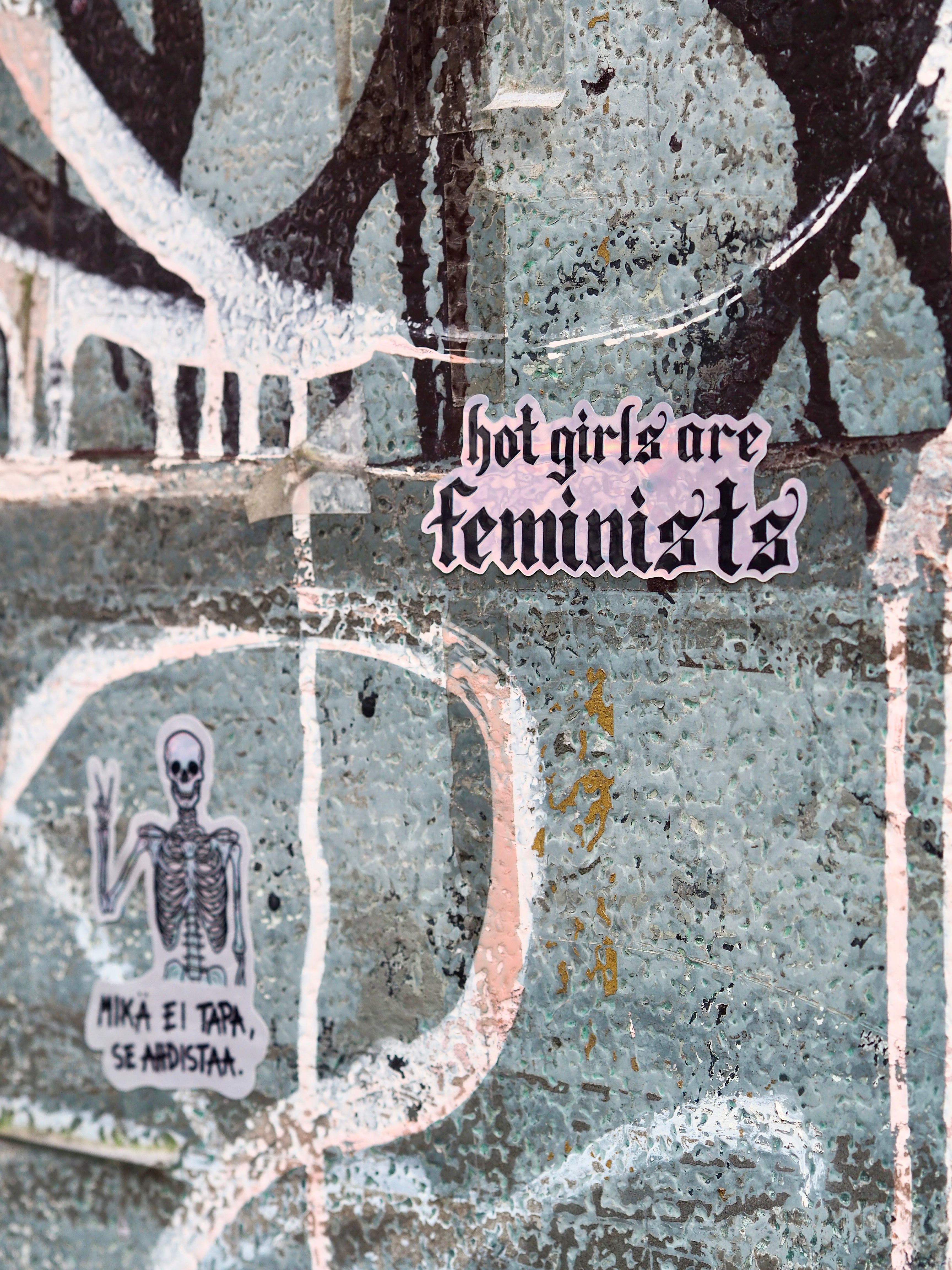 Hot girls are feminists Vinyylitarra